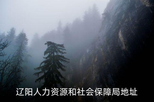遼陽(yáng)人力資源和社會(huì)保障局地址