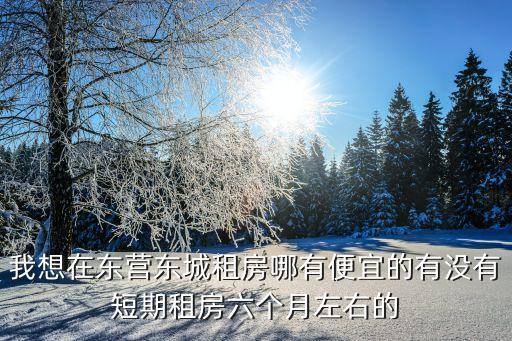 我想在東營(yíng)東城租房哪有便宜的有沒(méi)有短期租房六個(gè)月左右的