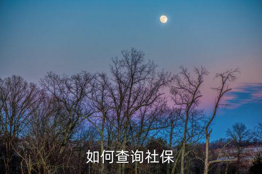如何查詢社保