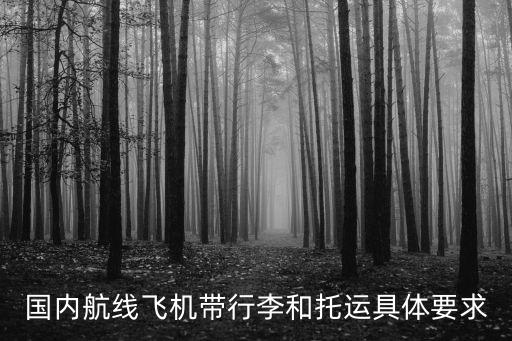 飛機(jī)托運(yùn)規(guī)定，國內(nèi)航線飛機(jī)帶行李和托運(yùn)具體要求