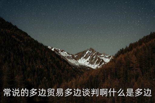 多邊貿(mào)易，常說(shuō)的多邊貿(mào)易多邊談判啊什么是多邊