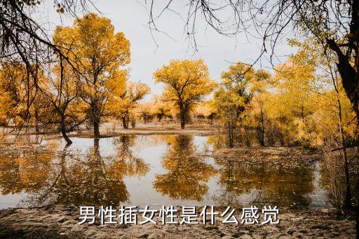 男性插女性是什么感覺