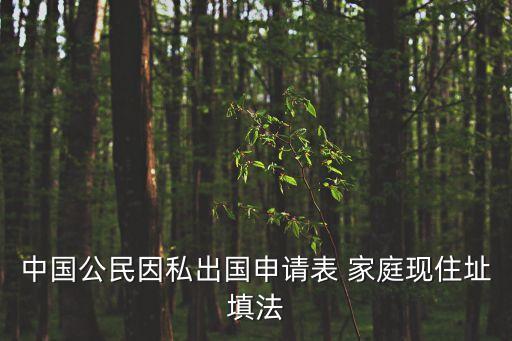 現(xiàn)住址怎么填寫，中國公民因私出國申請表 家庭現(xiàn)住址填法