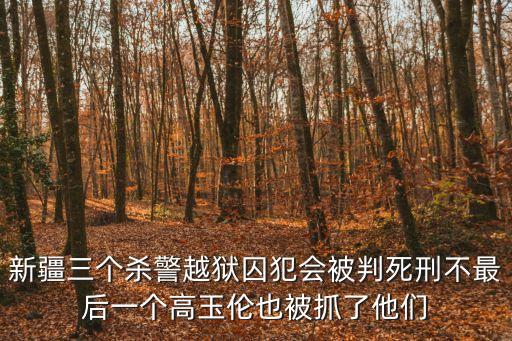 新疆三個(gè)殺警越獄囚犯會(huì)被判死刑不最后一個(gè)高玉倫也被抓了他們