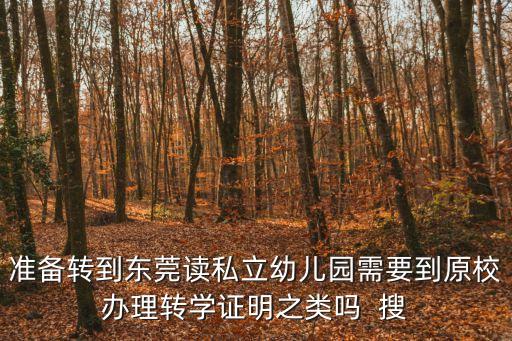 準備轉到東莞讀私立幼兒園需要到原校辦理轉學證明之類嗎  搜