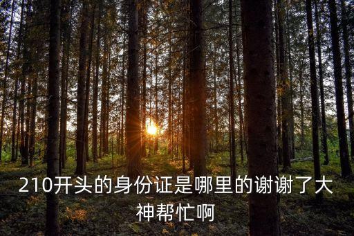 210開頭的身份證是哪里的謝謝了大神幫忙啊