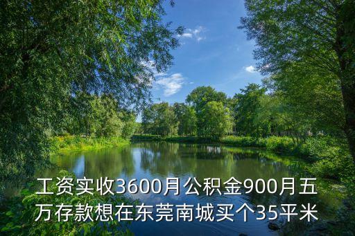 工資實(shí)收3600月公積金900月五萬存款想在東莞南城買個35平米