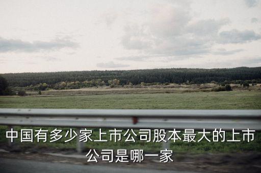 中國(guó)有多少家上市公司，中國(guó)有多少家上市公司股本最大的上市公司是哪一家