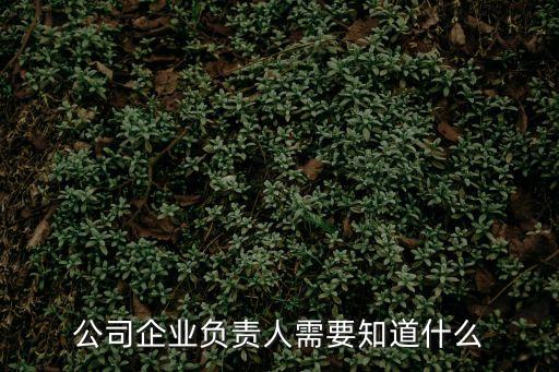 公司企業(yè)負(fù)責(zé)人需要知道什么