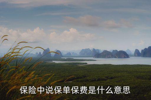 保費是什么意思，保險中保費和保金是什么意思這倆有什么區(qū)別