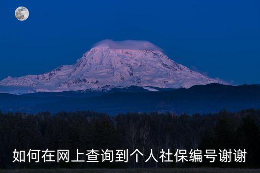 如何在網(wǎng)上查詢到個(gè)人社保編號(hào)謝謝