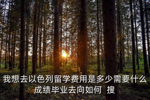 我想去以色列留學(xué)費(fèi)用是多少需要什么成績畢業(yè)去向如何  搜