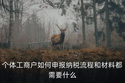 個(gè)體工商戶(hù)納稅，個(gè)體戶(hù)經(jīng)營(yíng)所得稅