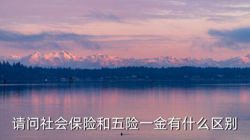 請(qǐng)問(wèn)社會(huì)保險(xiǎn)和五險(xiǎn)一金有什么區(qū)別