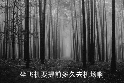 坐飛機要提前多久去機場啊