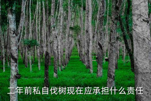 伐樹，啥時伐樹合適
