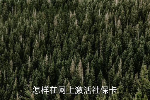手機激活社?？?，怎樣在網上激活社保卡