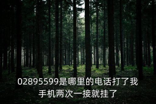 02895599是哪里的電話打了我手機(jī)兩次一接就掛了