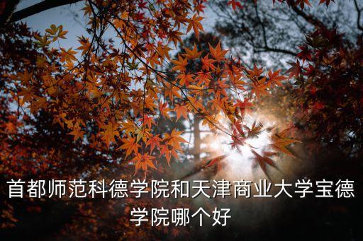 首都師范科德學院和天津商業(yè)大學寶德學院哪個好