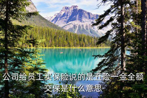 全交，社?？梢砸淮涡匀拷积R嗎