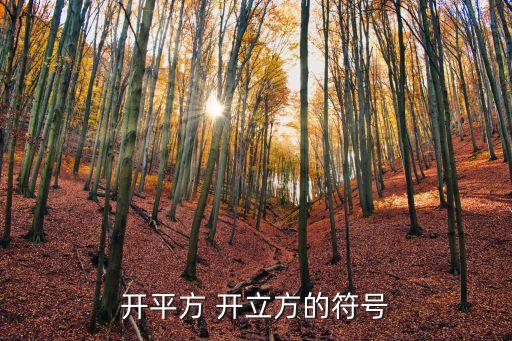 方開，銷售方開普通發(fā)票和專用發(fā)票的區(qū)別