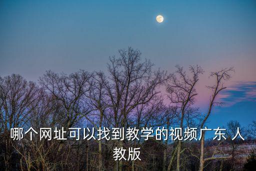 哪個網(wǎng)址可以找到教學(xué)的視頻廣東 人教版