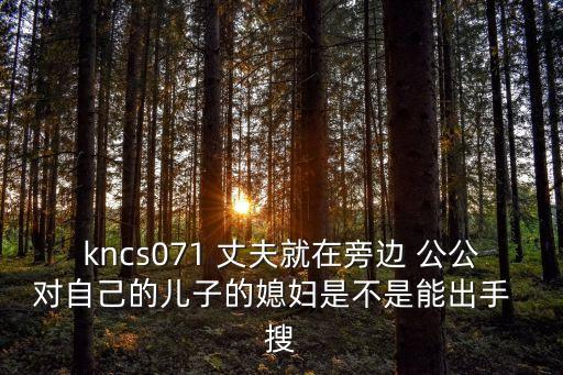 兒子的妻子在線，康熙第八個(gè)兒子的妻子