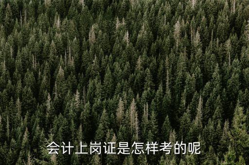 會計上崗證是怎樣考的呢