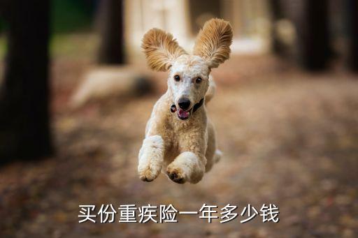 買份重疾險一年多少錢