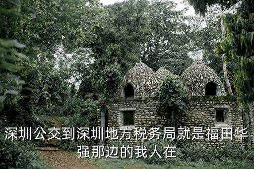 深圳市地稅局，深圳市南山區(qū)地稅局電話多少或是熱線