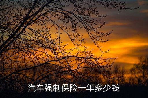 汽車強(qiáng)制保險一年多少錢