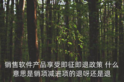 銷售軟件產(chǎn)品享受即征即退政策 什么意思是銷項(xiàng)減進(jìn)項(xiàng)的退呀還是退