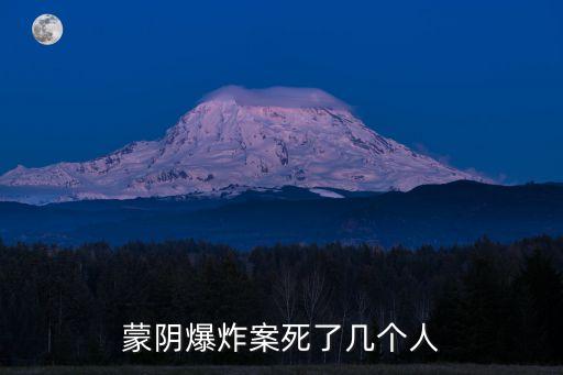 蒙陰爆炸案死了幾個人
