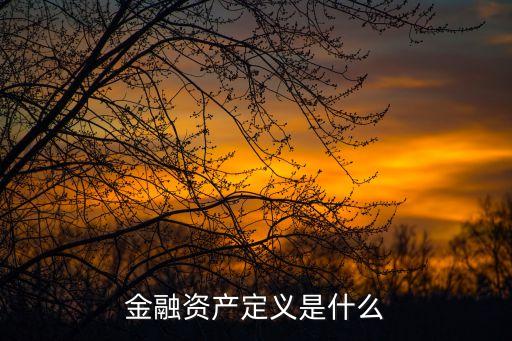 金融資產(chǎn)定義是什么