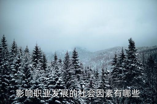 影響職業(yè)發(fā)展的社會(huì)因素有哪些