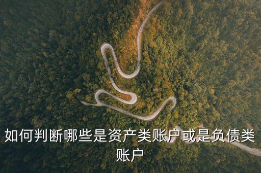 負債類賬戶，資產類賬戶 負債類賬戶 所有者權益類賬戶 成本類賬戶 損益類賬戶各包
