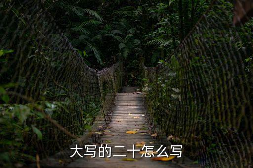 大寫的二十怎么寫