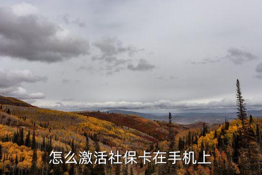 怎么激活社保卡在手機上