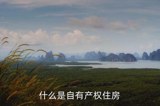 居者有其屋，有人說居者有其屋是杜甫喝醉酒的醉話是嗎