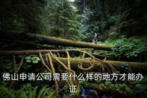 佛山申請公司需要什么樣的地方才能辦證
