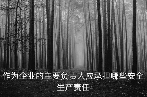 企業(yè)主要負(fù)責(zé)人，企業(yè)法人可以不是企業(yè)的主要負(fù)責(zé)人嗎