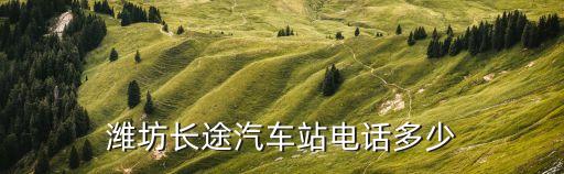 濰坊長途汽車站電話多少