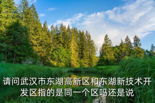 請(qǐng)問(wèn)武漢市東湖高新區(qū)和東湖新技術(shù)開(kāi)發(fā)區(qū)指的是同一個(gè)區(qū)嗎還是說(shuō)