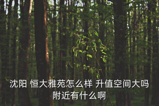 沈陽 恒大雅苑怎么樣 升值空間大嗎附近有什么啊