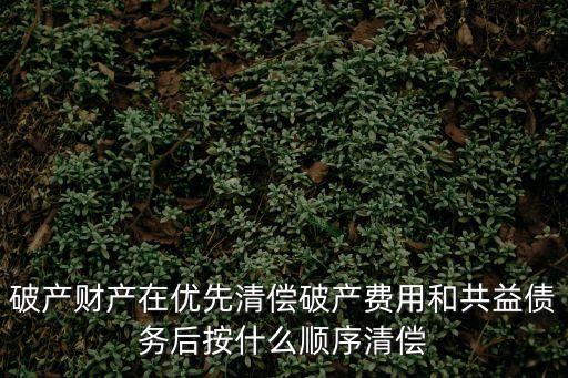 破產(chǎn)財產(chǎn)在優(yōu)先清償破產(chǎn)費用和共益?zhèn)鶆?wù)后按什么順序清償