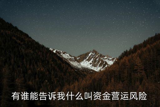 營(yíng)運(yùn)風(fēng)險(xiǎn)，有誰(shuí)能告訴我什么叫資金營(yíng)運(yùn)風(fēng)險(xiǎn)
