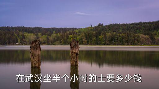 武漢的士，在武漢坐半個小時的士要多少錢