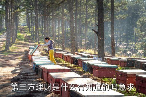 第三方理財(cái)是什么有知道的嗎急求