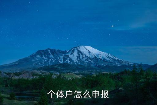 個體戶怎么申報，個體戶怎么申報