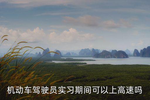 上高速，請問前四后四9米6上高速是按幾類車型來收費(fèi)的一公里收多少錢